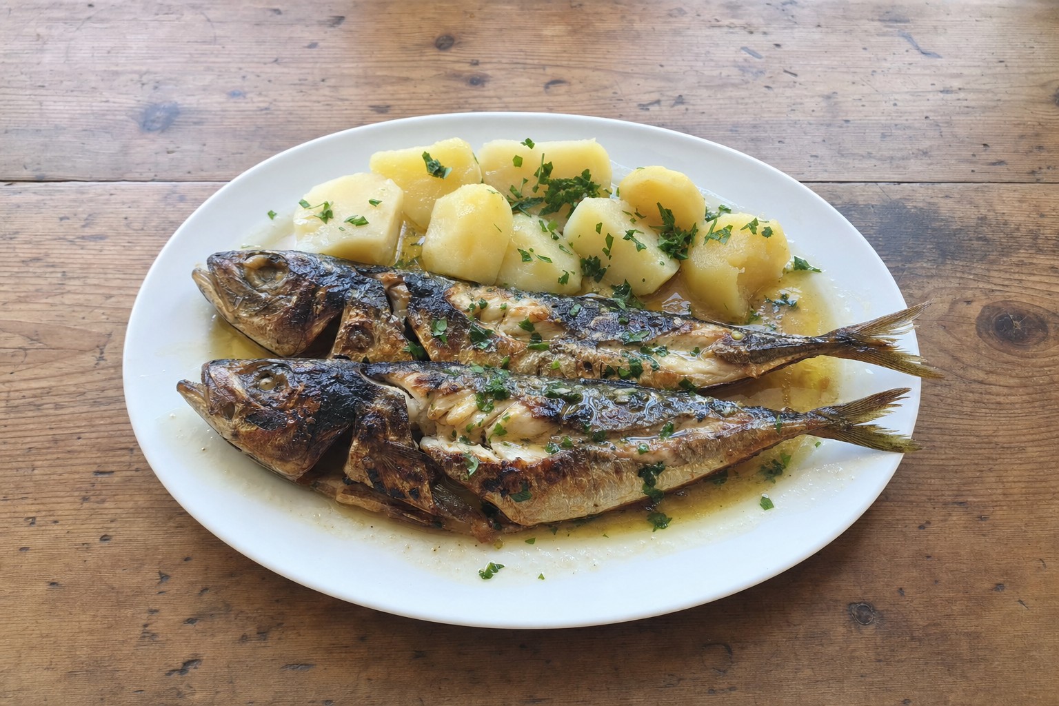Carapaus Grelhados com Molho à Espanhola